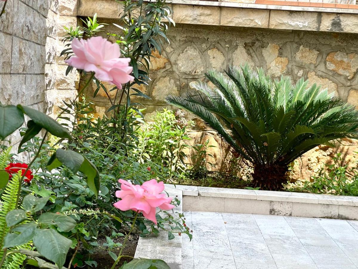 Mirjana Apartment Budva