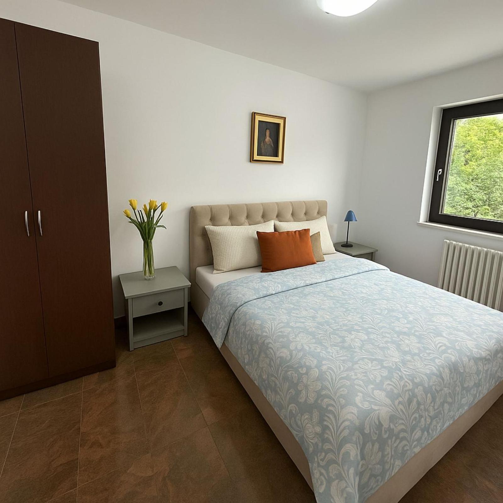 Mirjana Apartment *